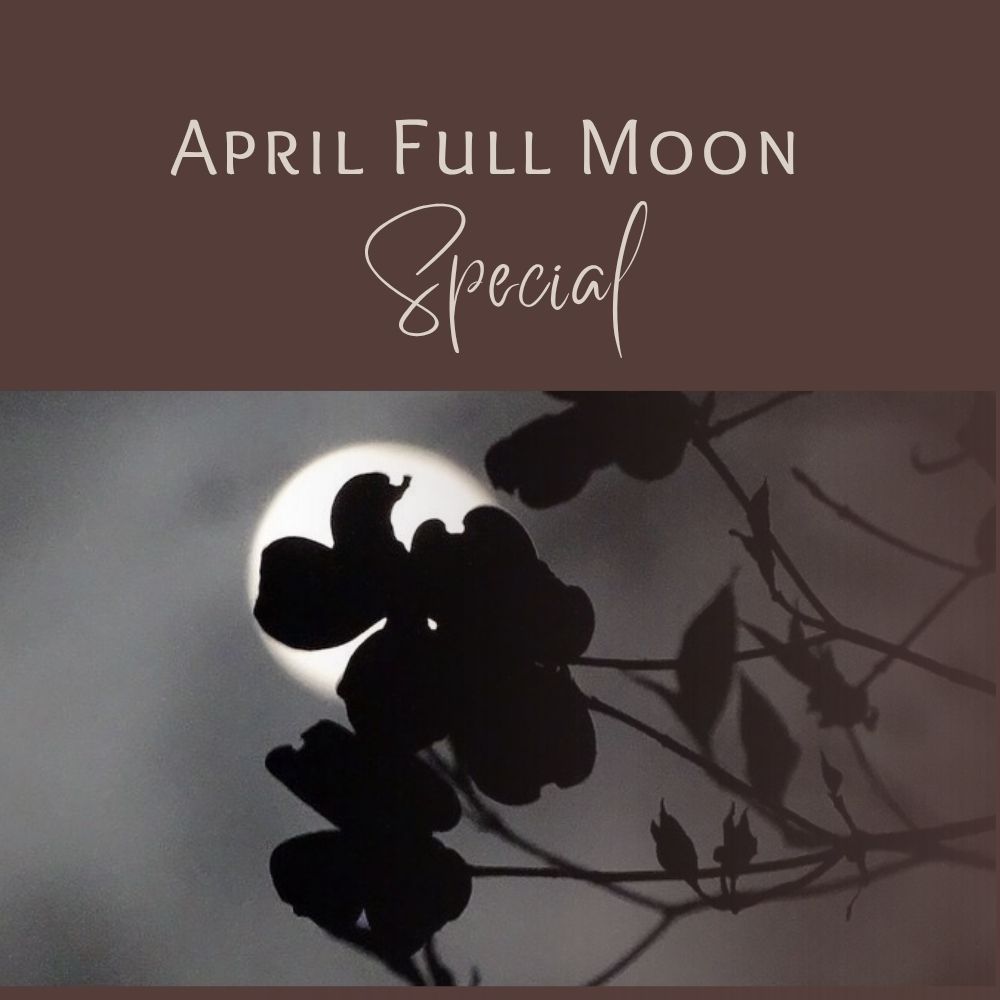 More blog resources on the Wise Woman Tradition