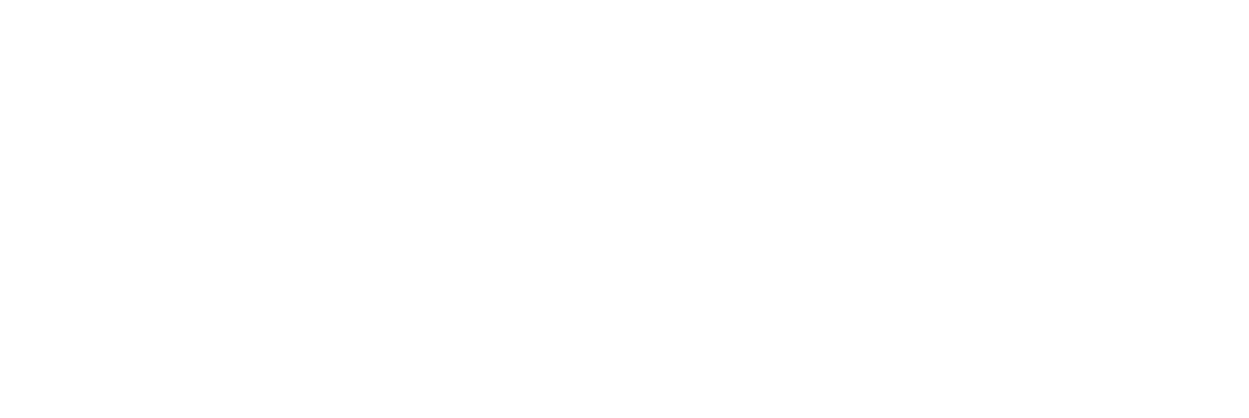 Illume Executive Consulting