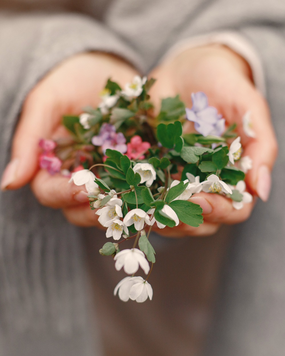 Hands holding cascading flowers