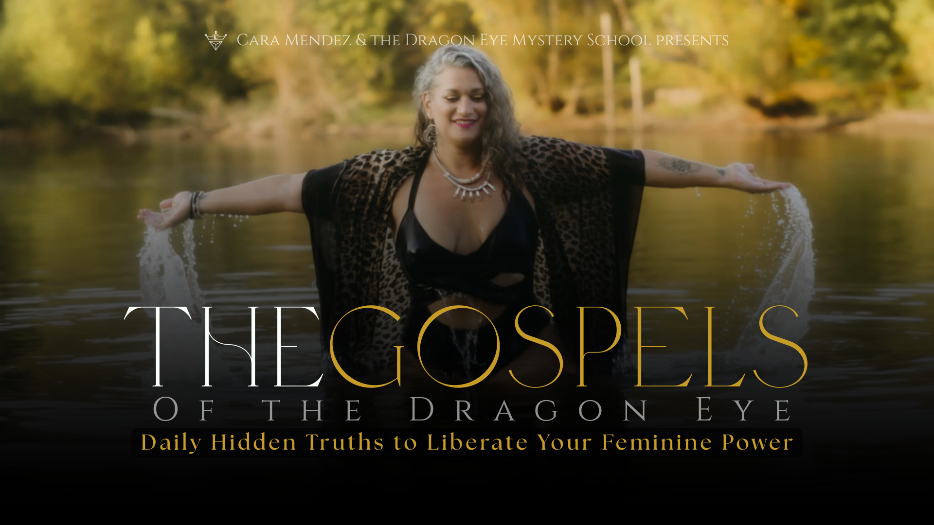 Video Poster Image