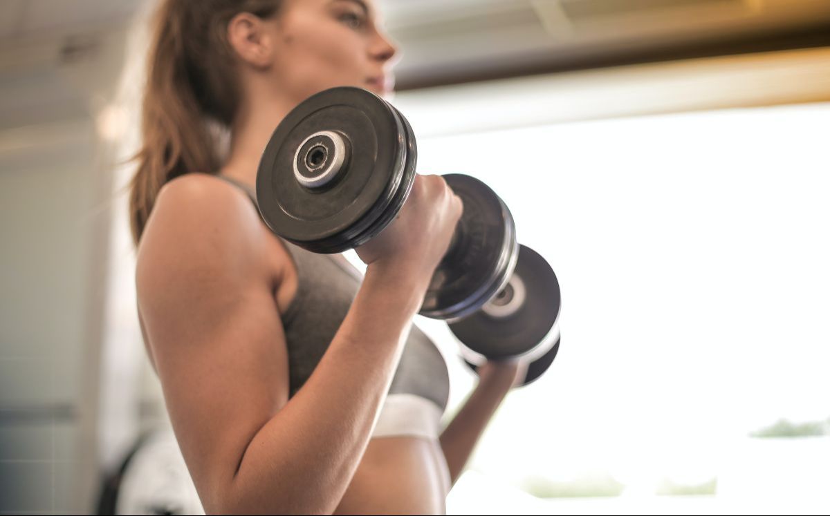 Entrenamiento de Fuerza