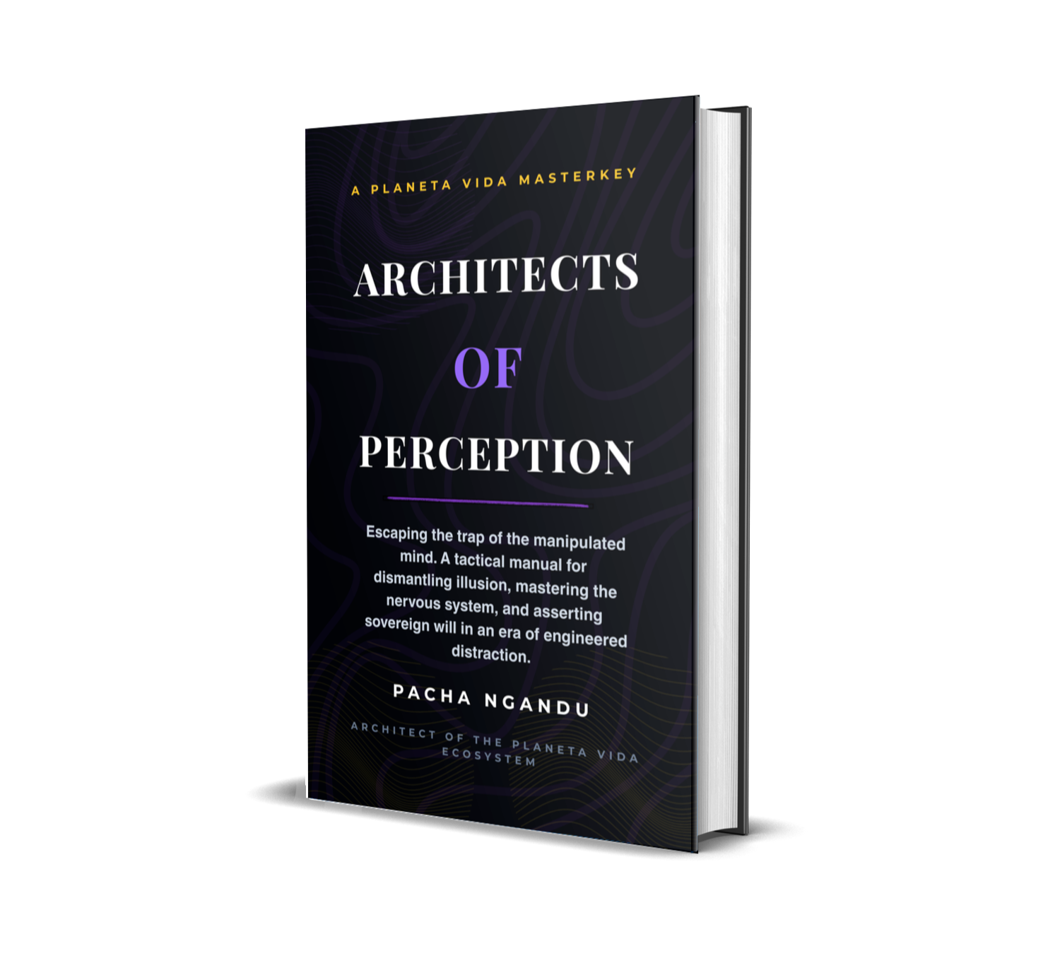 Architects of Perception