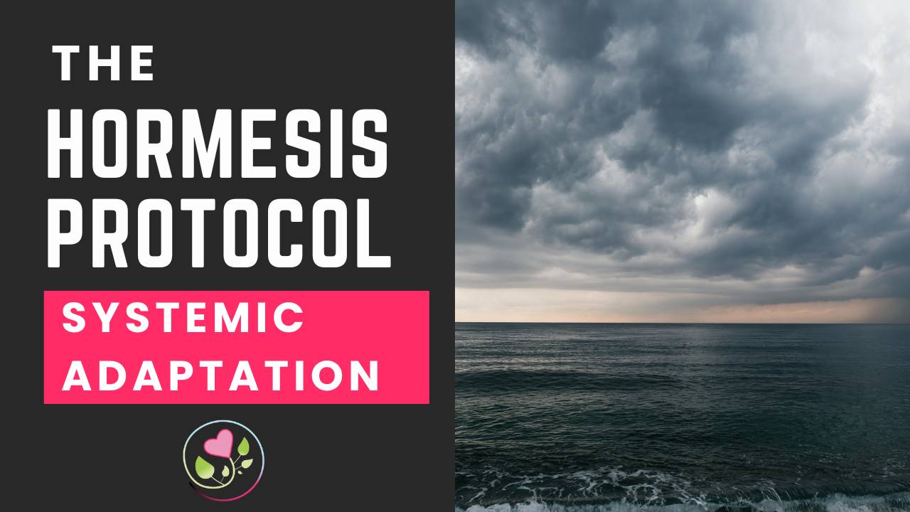 The Hormesis Protocol Thumbnail