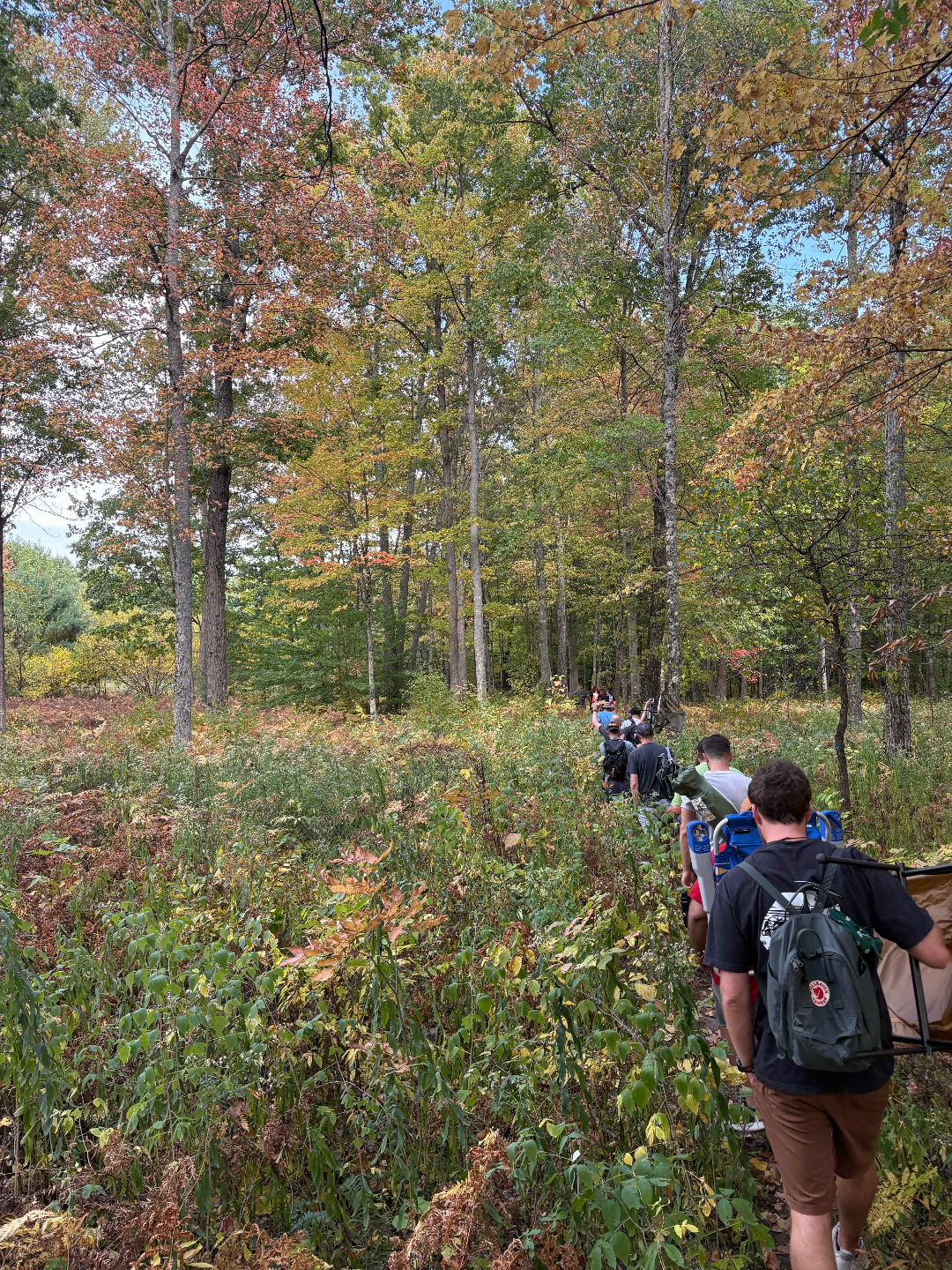 Men hiking single file through a sunlit forest trail during the morning hike at the Annual Men's Retreat in northern Michigan
