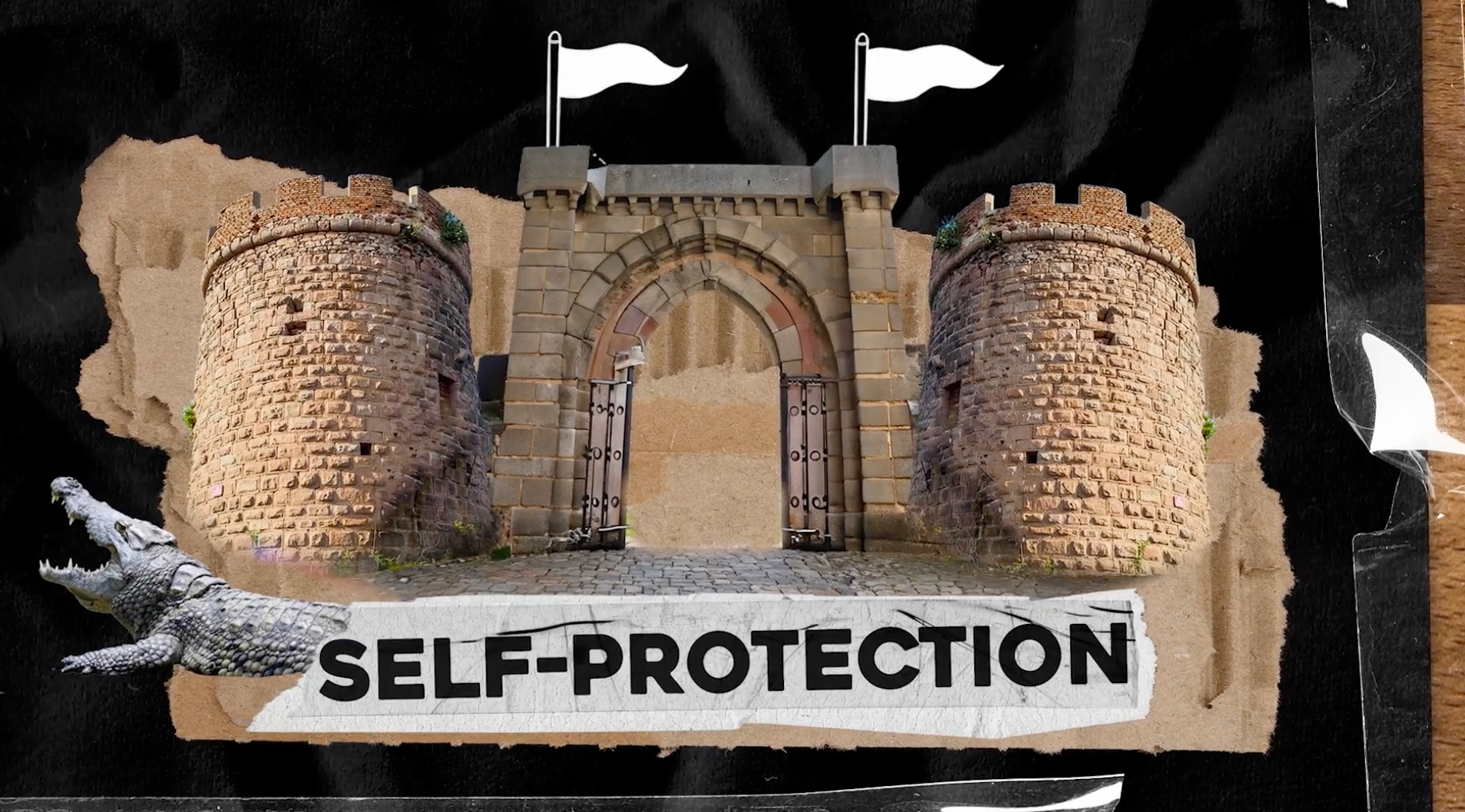 Exclusive Video Training - Connection vs. Separation