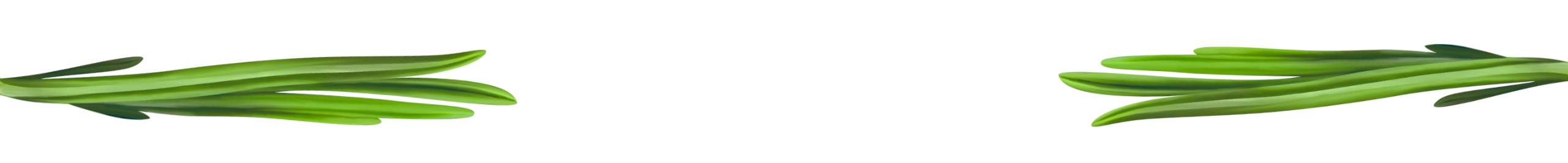 decorative image of rosemary leaves