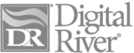 Digital River