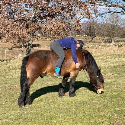 Föreläsare Anna Lundberg