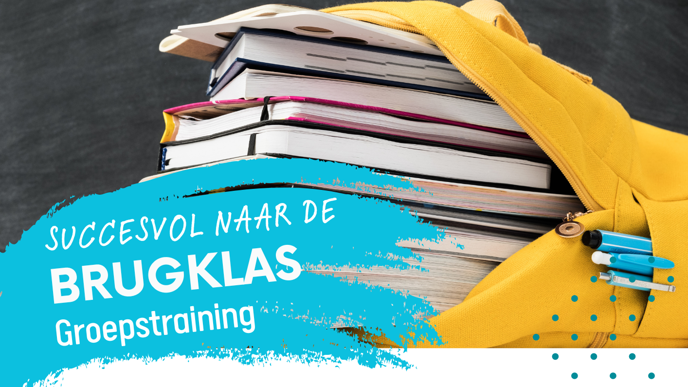 Succesvol naar de brugklas - groepstraining