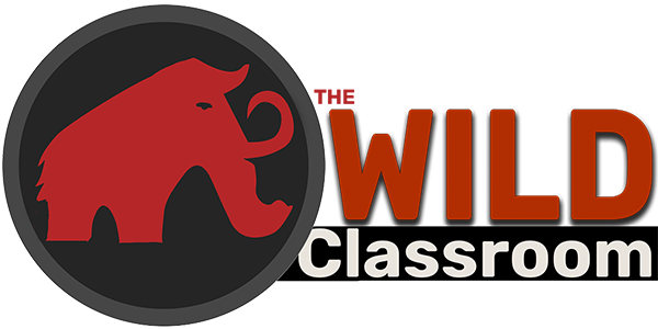 Footer Logo