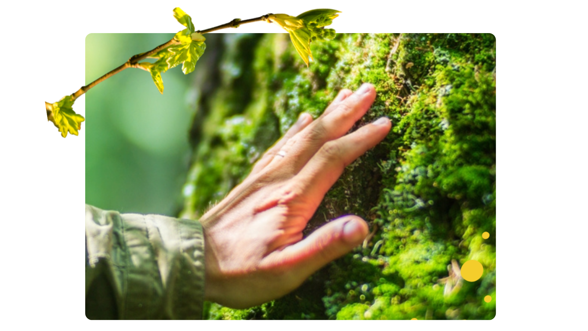 Blurres autumnal colors in the backround a smiling man hugs a small child in his lap