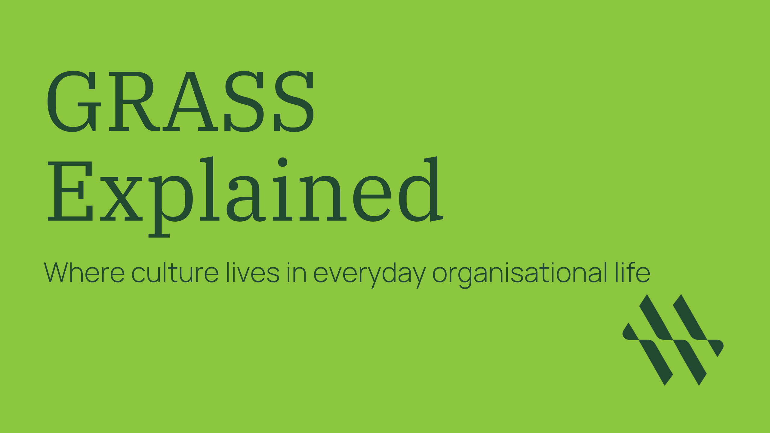 Meredith Wilson facilitating a culture leadership masterclass