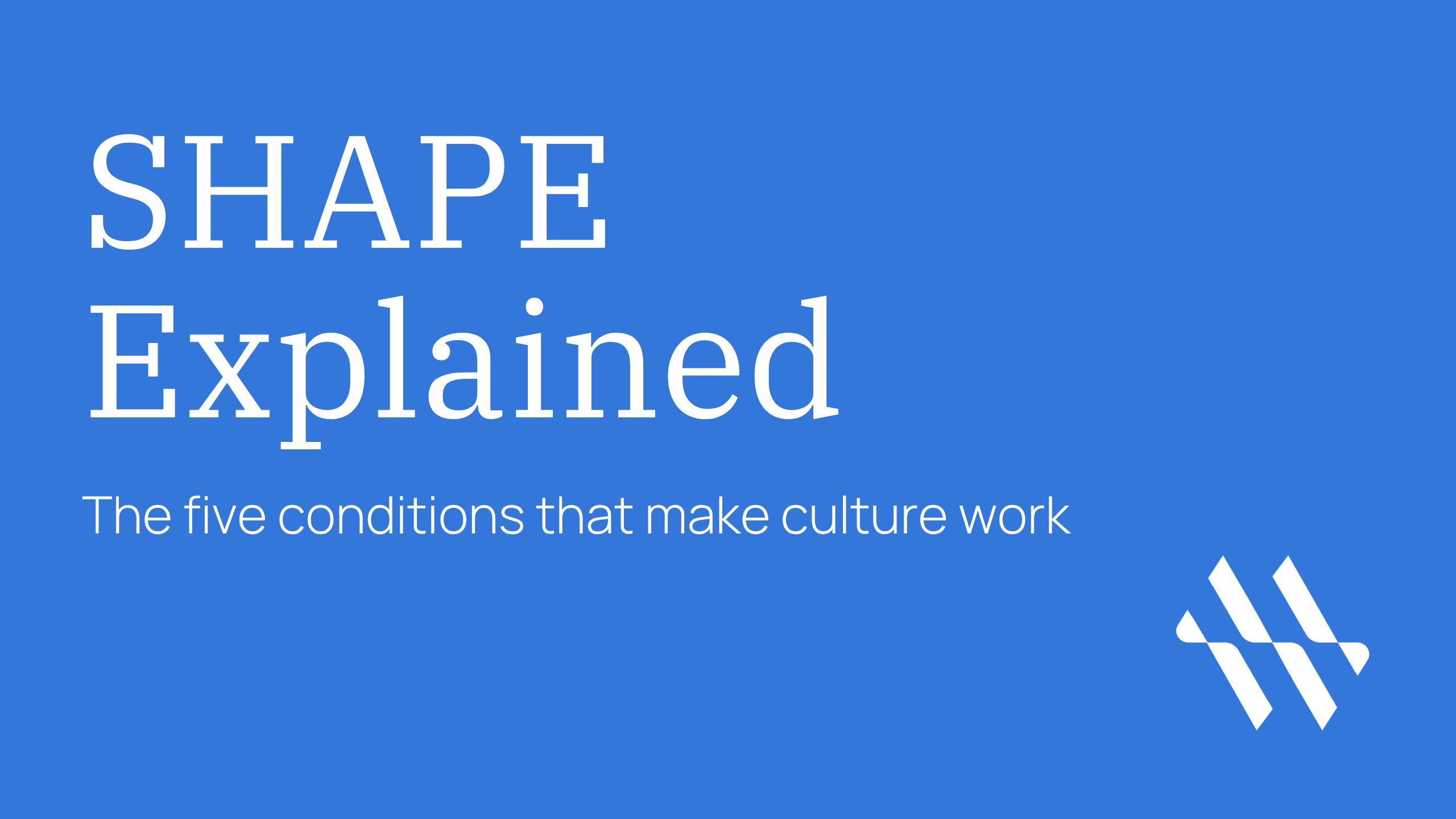 Meredith Wilson facilitating a culture leadership masterclass