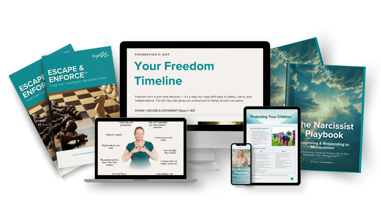 The Narcissist's Playbook by Stacy Munzenberger