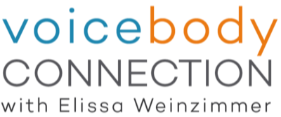 Voice Body Connection logo
