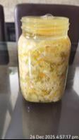 Ferment 1