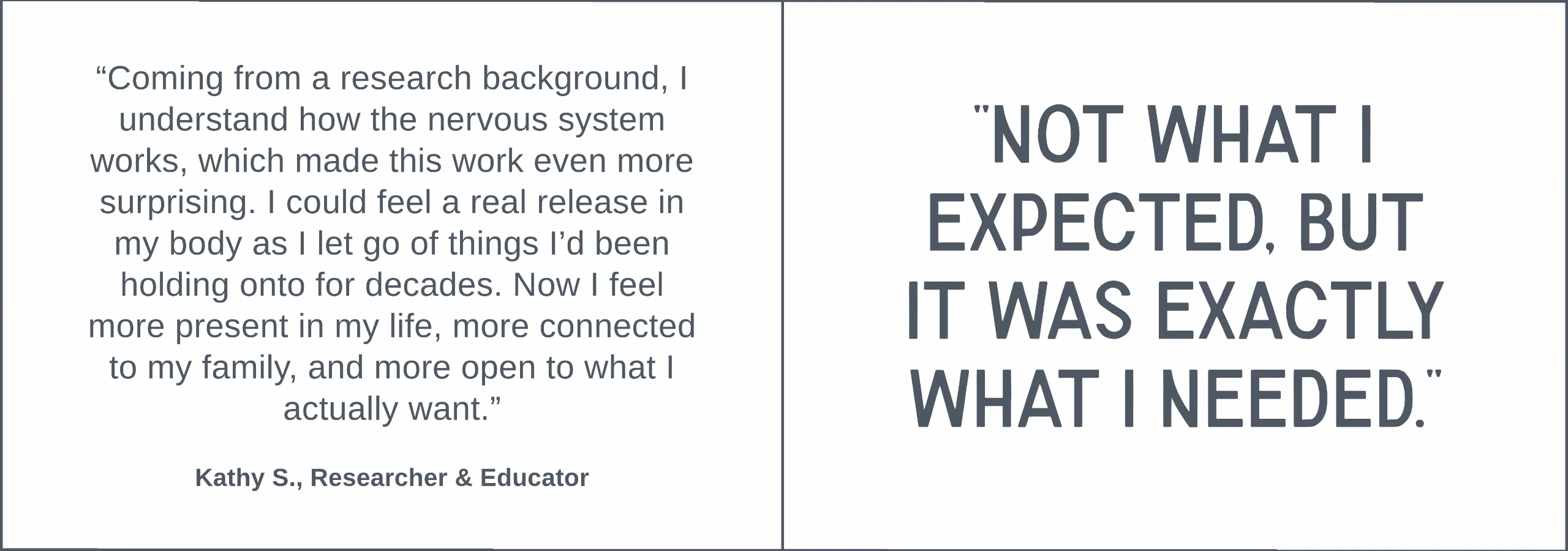 Testimonial 2 (Not what I expected) “Client testimonial describing unexpected but transformative results, including emotional release, increased presence, and deeper personal clarity.”