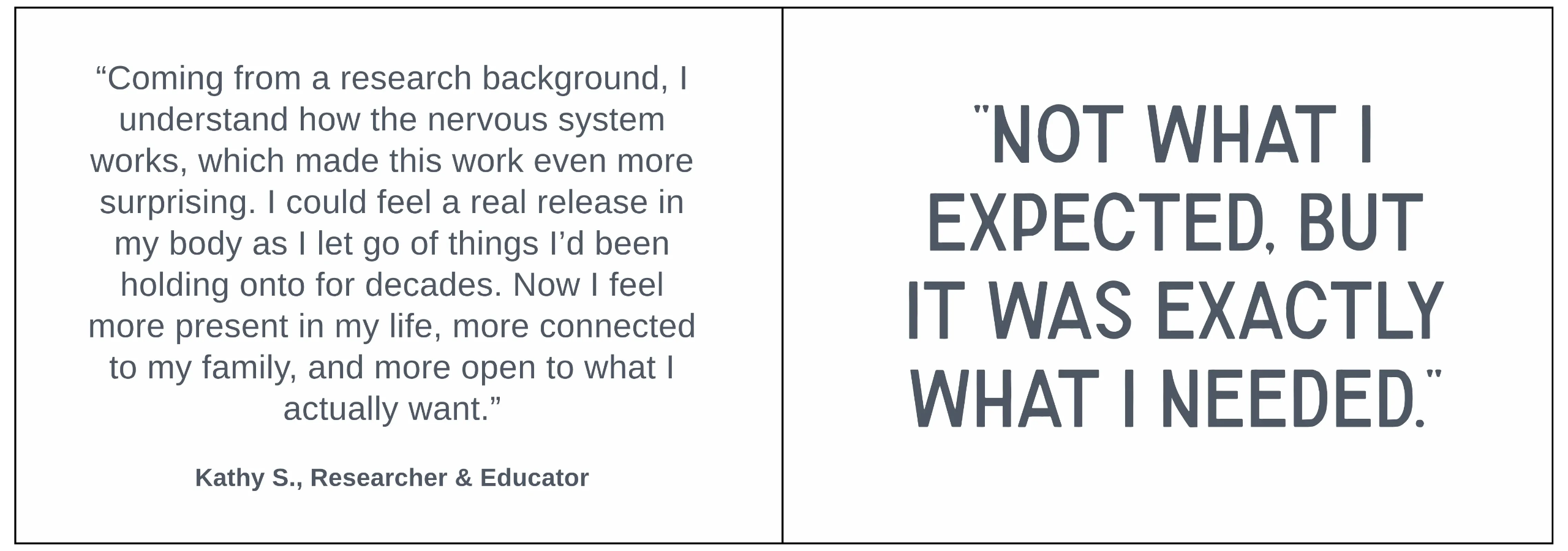 Testimonial 2 (Not what I expected) “Client testimonial describing unexpected but transformative results, including emotional release, increased presence, and deeper personal clarity.”