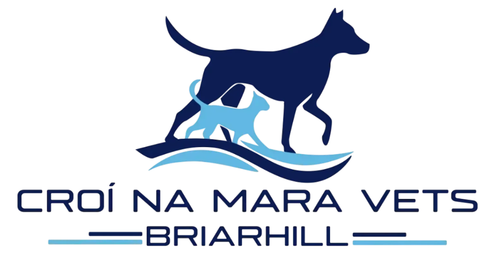Header Logo