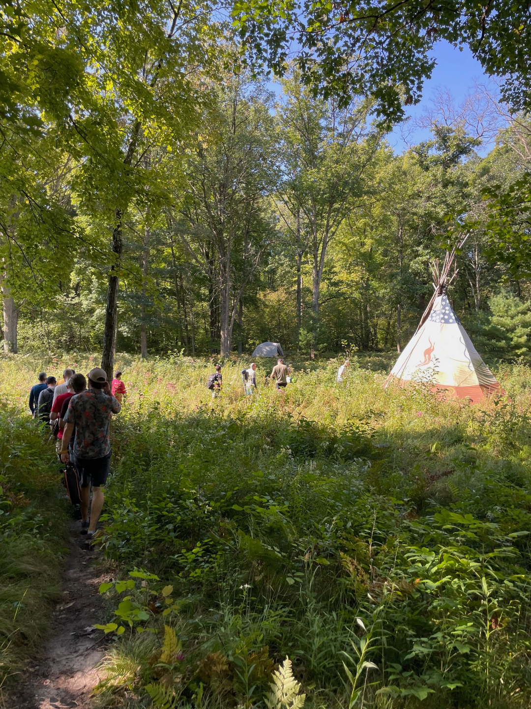 A painted tipi standing in a lush fern meadow on a misty morning at Lynx Run Wilderness Retreat in Big Rapids Michigan