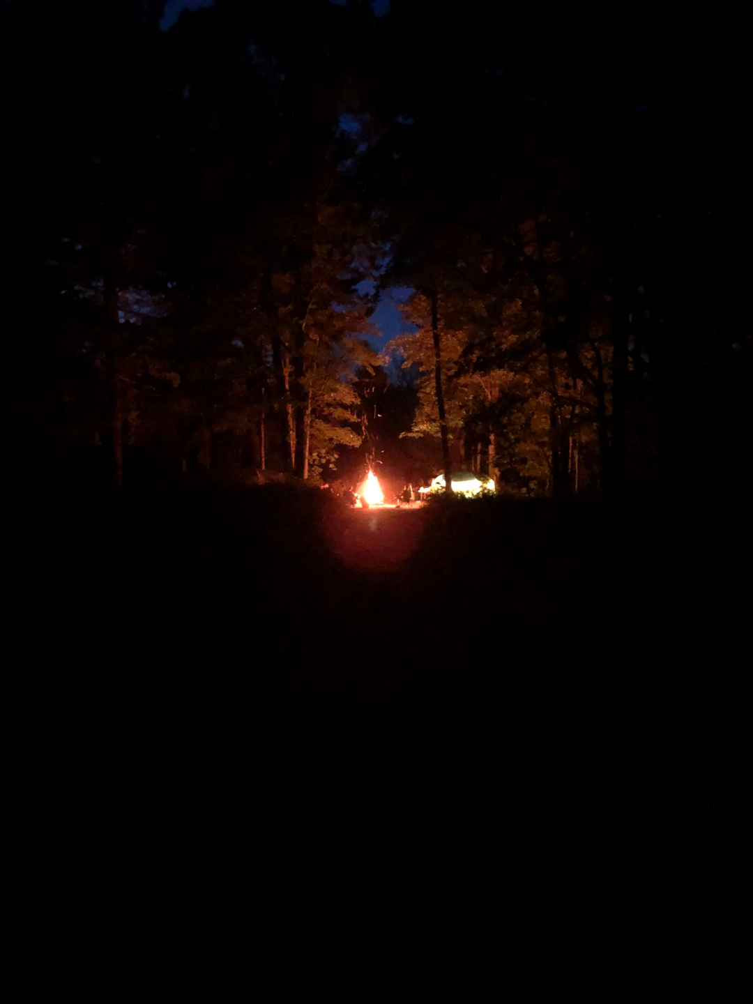A group of men sitting in a circle in the forest during a therapy session at the Annual Men's Retreat in northern Michigan