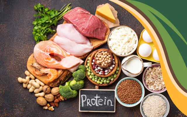 fish, mean, vegetables and other protein rich food