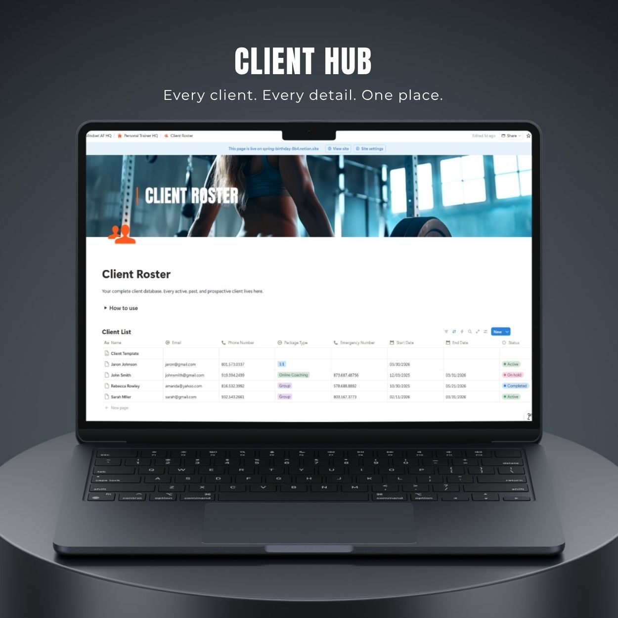Image of the Client Management System within the Notion Personal Trainer Template
