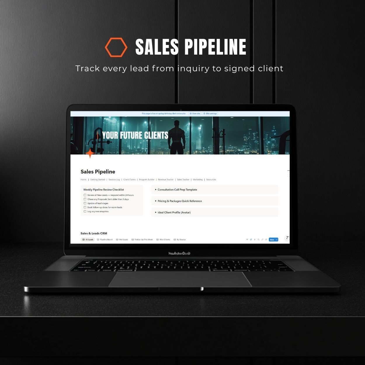 Personal Trainer CRM inside of the Notion Planner