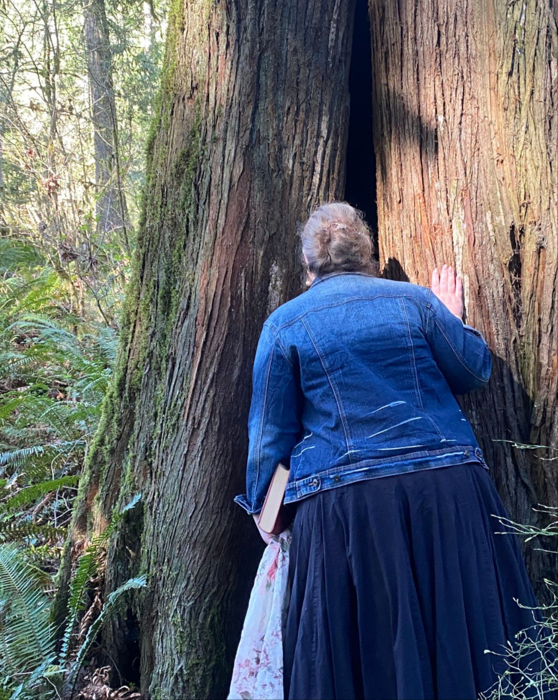 Janel Guevara in the Forest looking into a tree