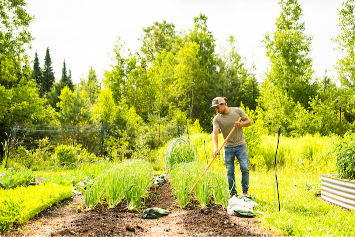 Cultiver avec un vrai plan