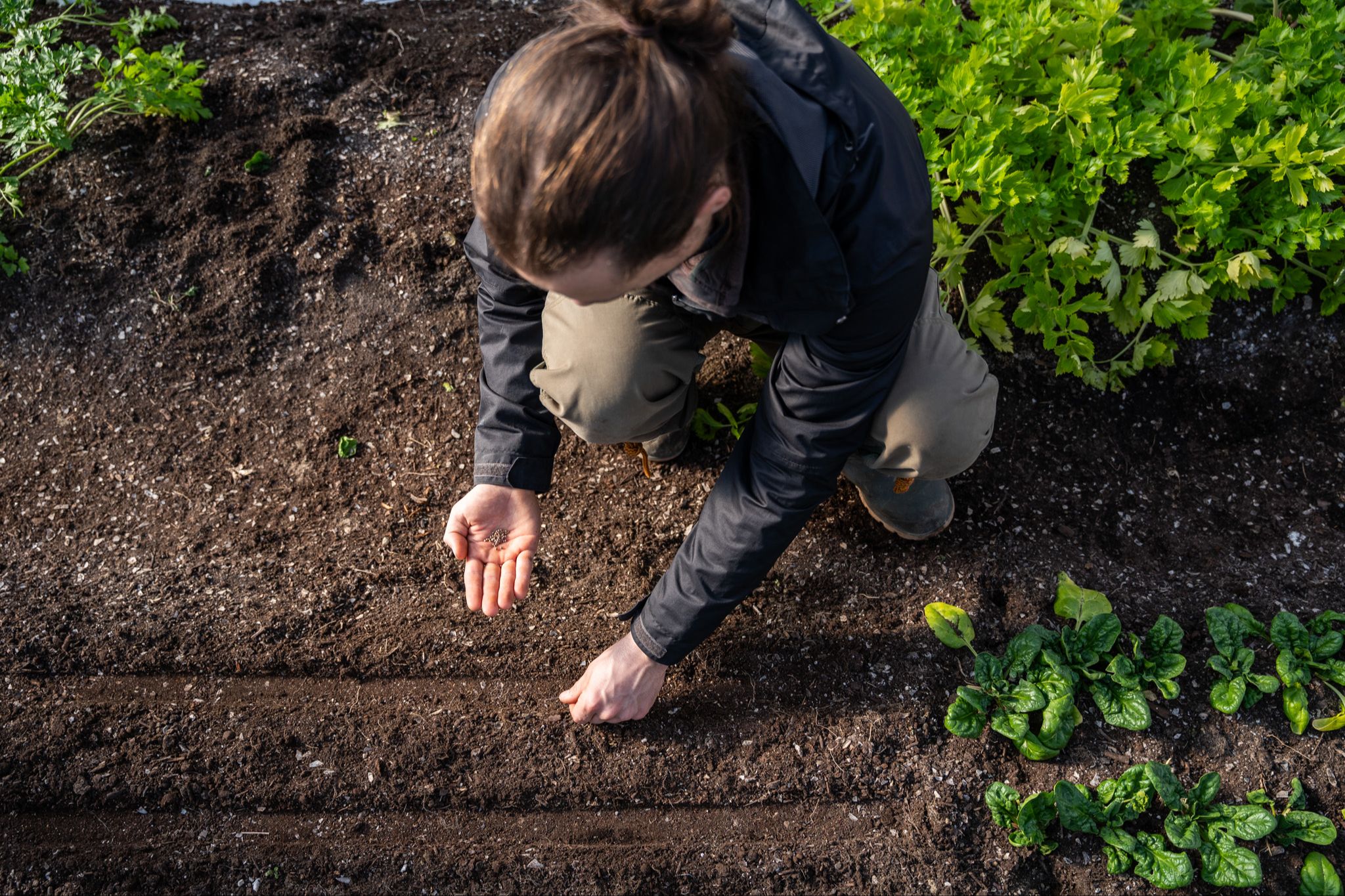 Jardiner sans vous épuiser