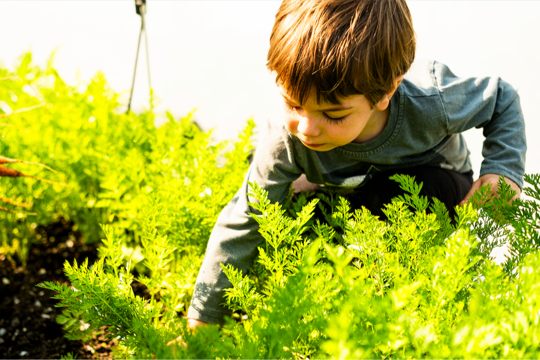 Vivre une saison sereine