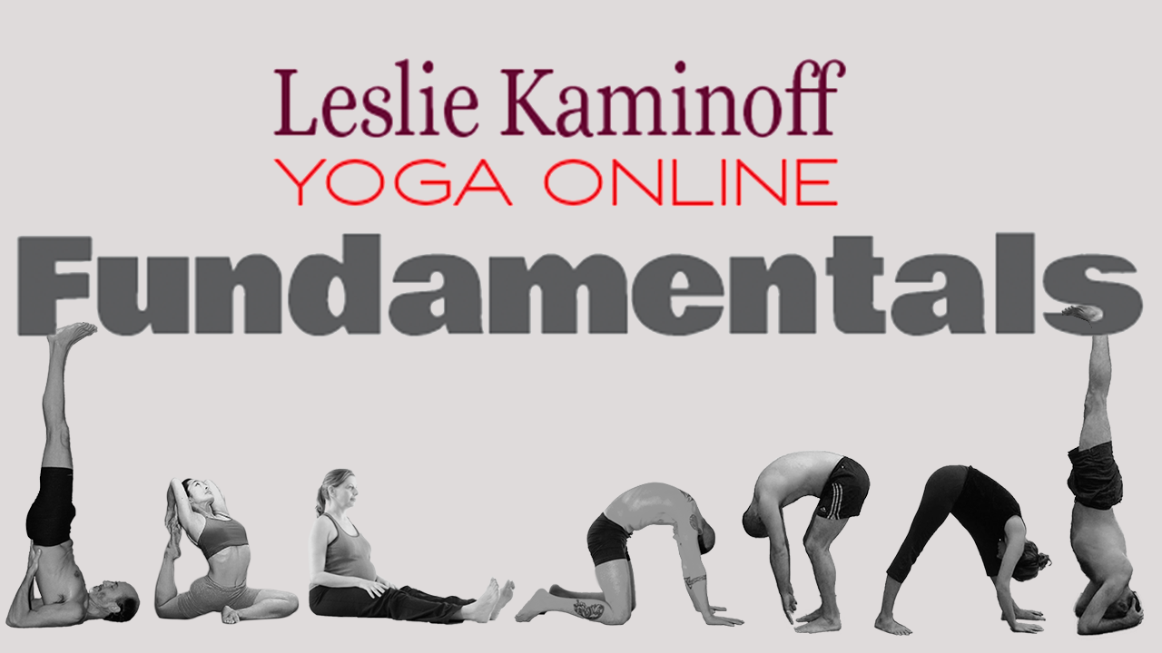 Leslie Kaminoff Yoga Online Fundamentals logo