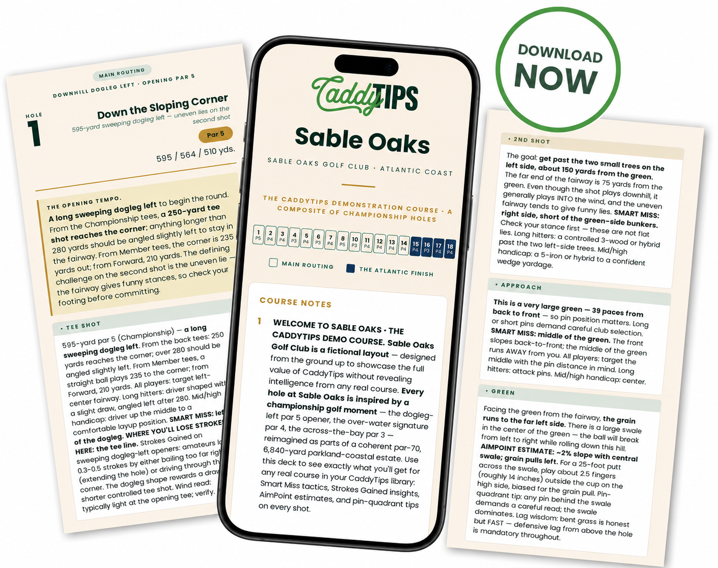CaddyTips Mobile Viewing