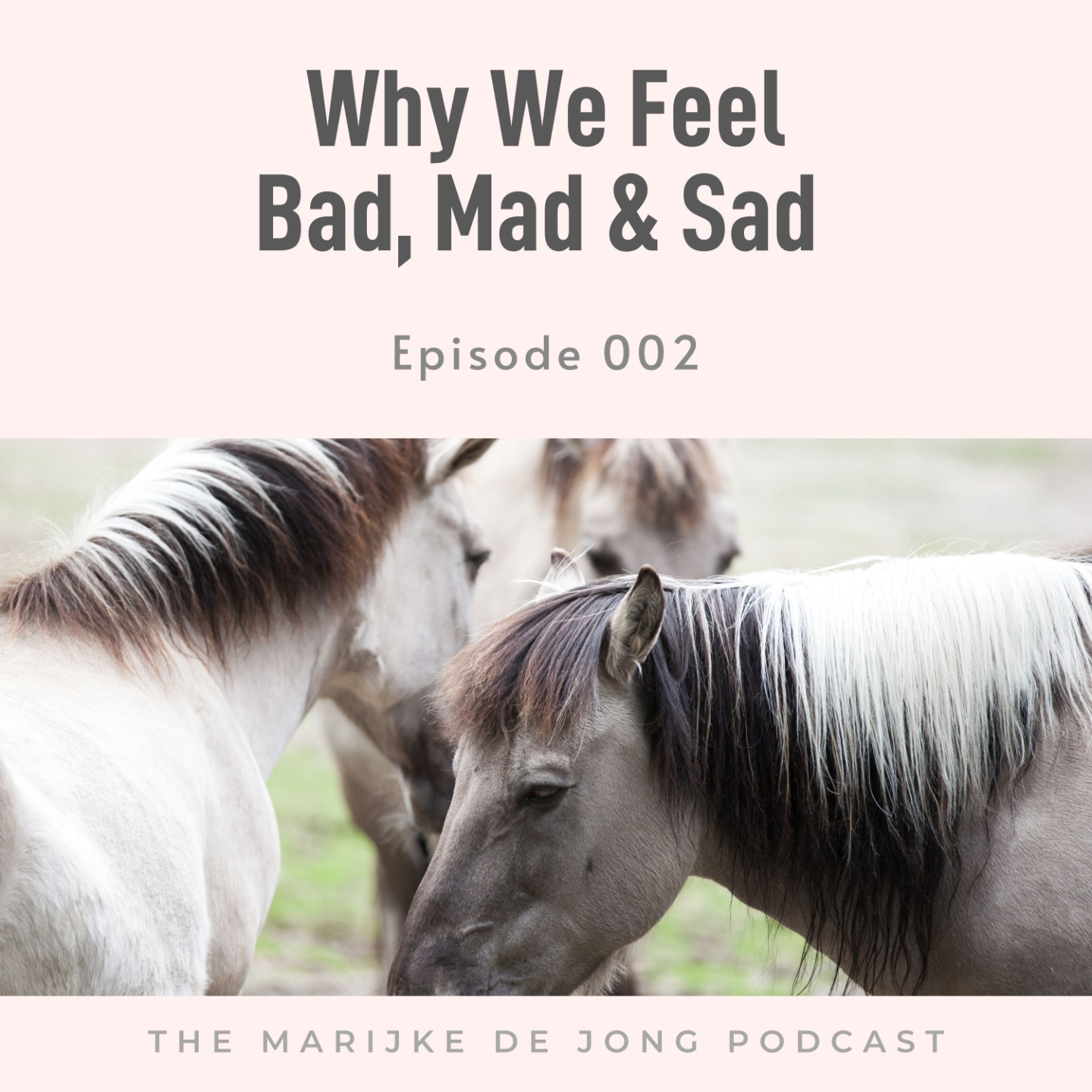 Podcast cover for Episode 002: Why We Feel Bad, Mad & Sad