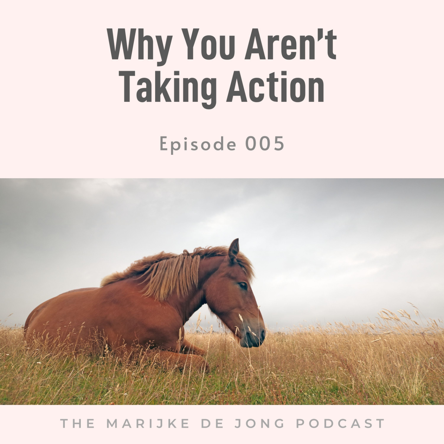 Podcast cover for Episode 005: Why You Aren’t Taking Action