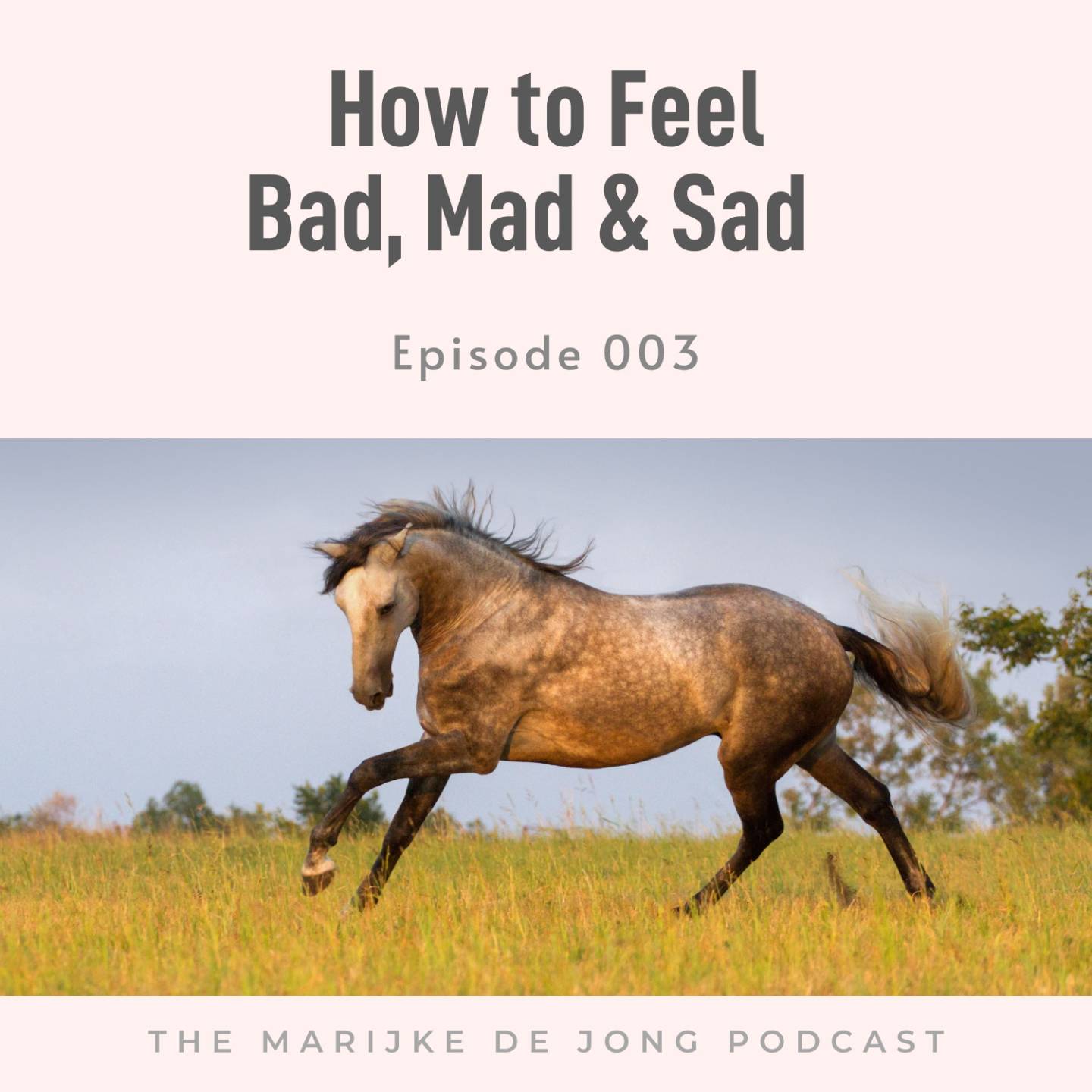 Podcast cover for Episode 003: How to Feel Bad, Mad & Sad
