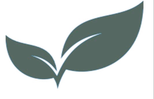 Header Logo