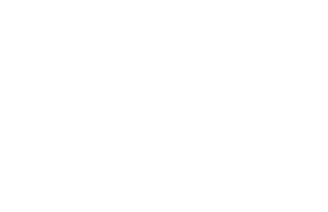 Live Icon