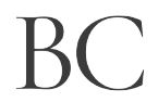 Footer Logo