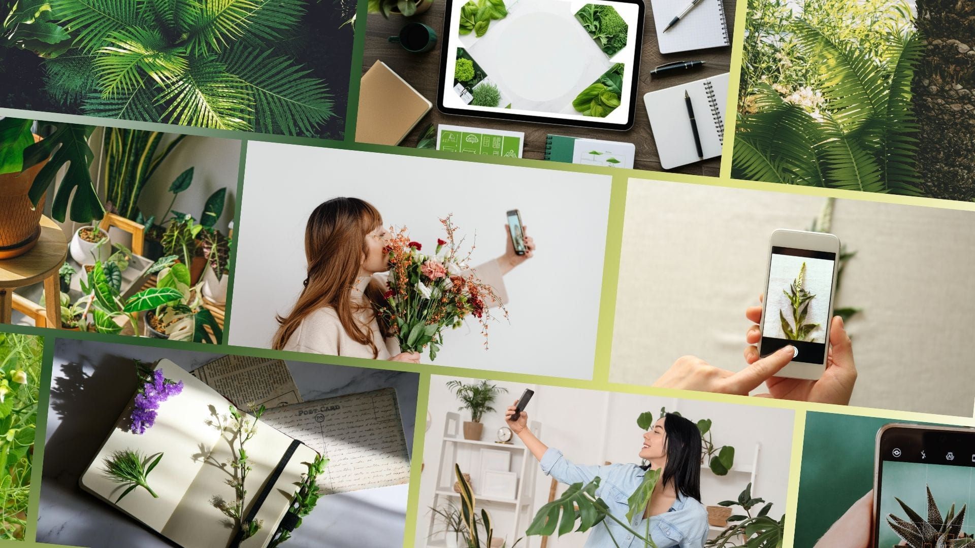 Content creators with plants and images