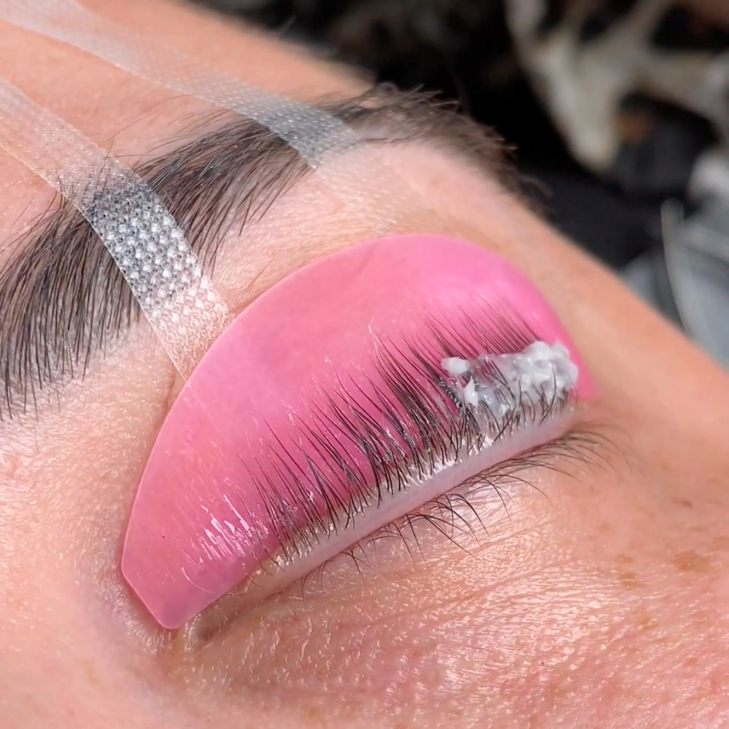 Learn how to utilize the camera