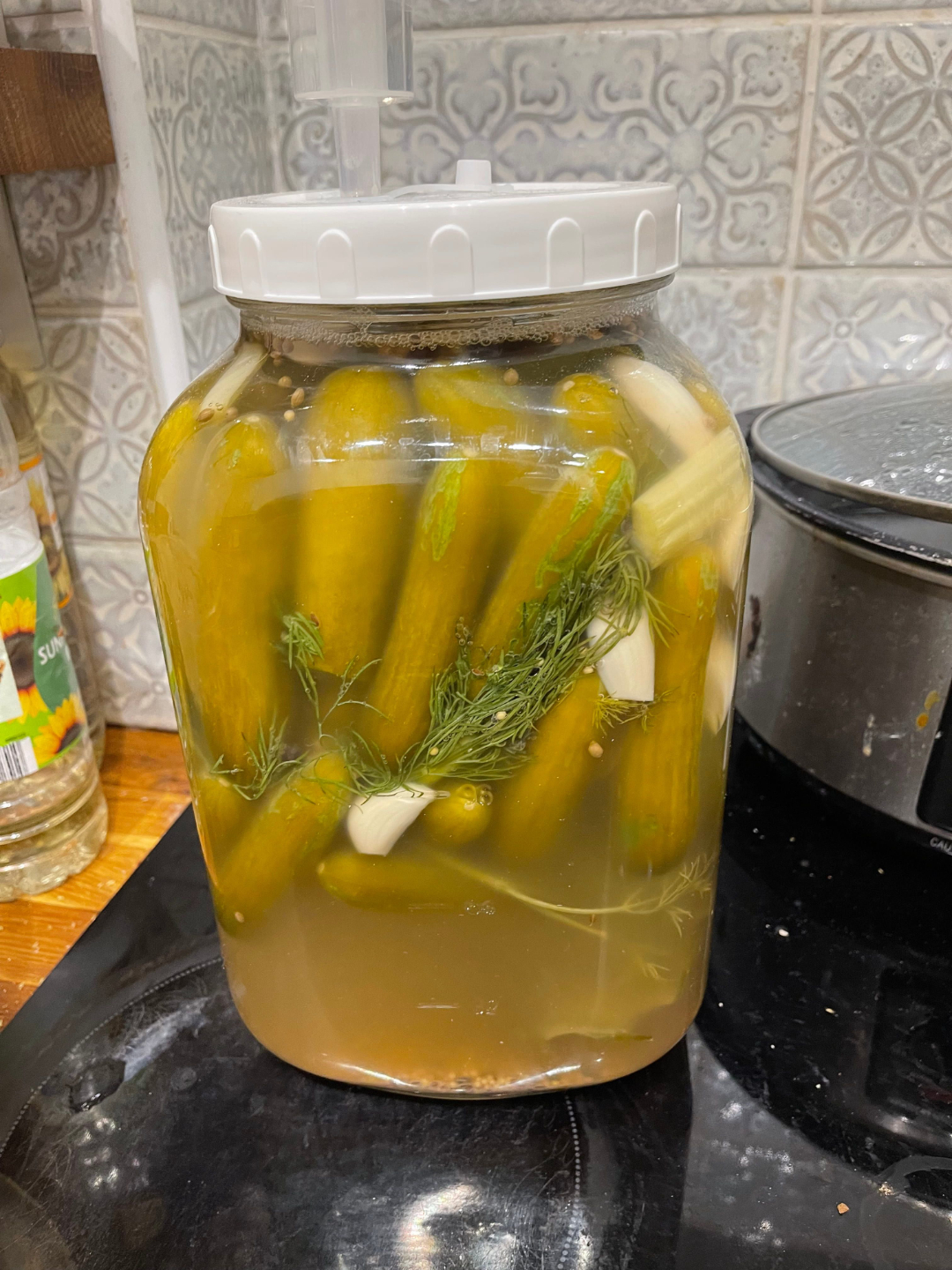 Ferment 5