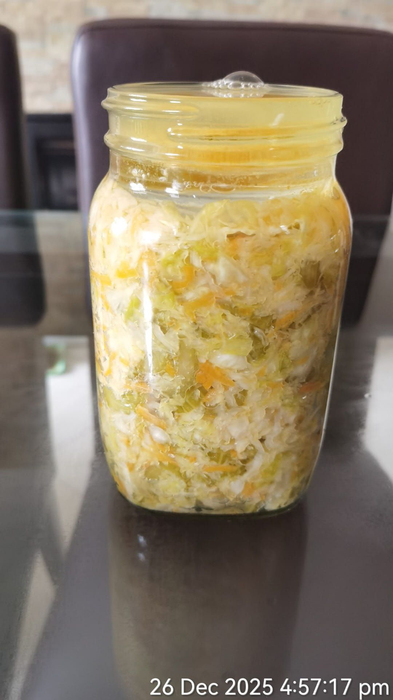 Ferment 1