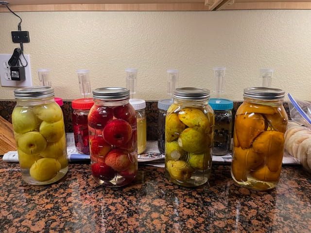 Ferment 2