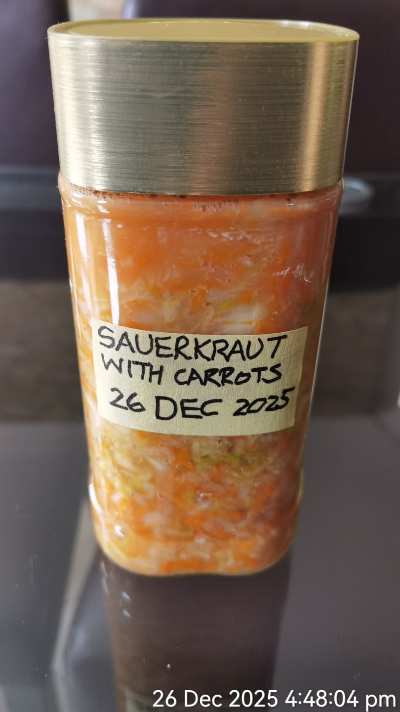 Ferment 7
