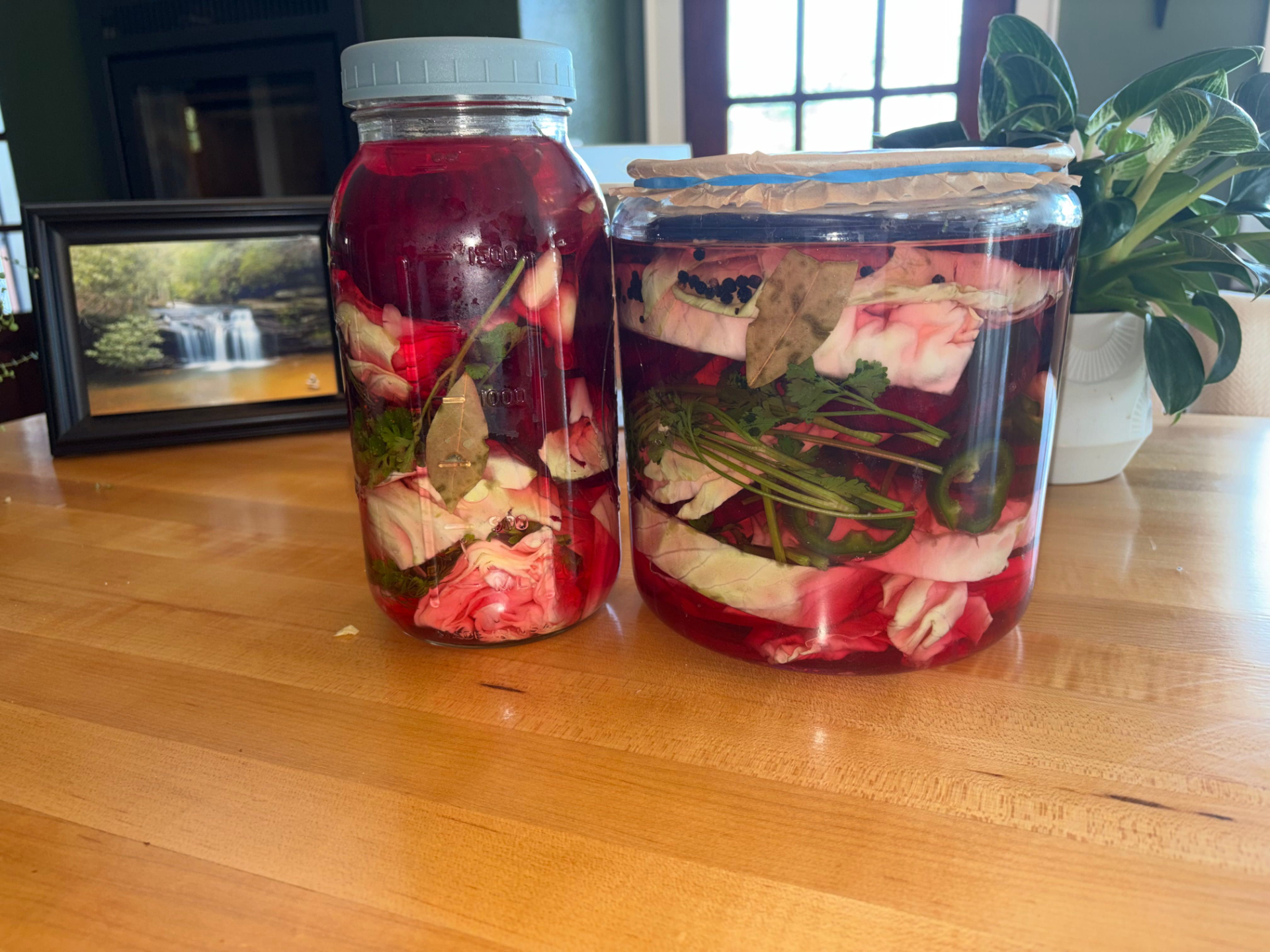 Ferment 6