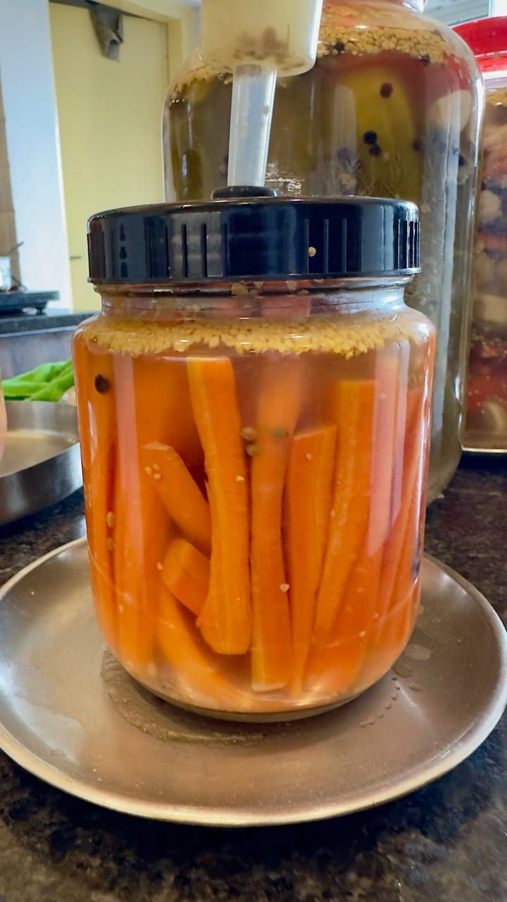 Ferment 3