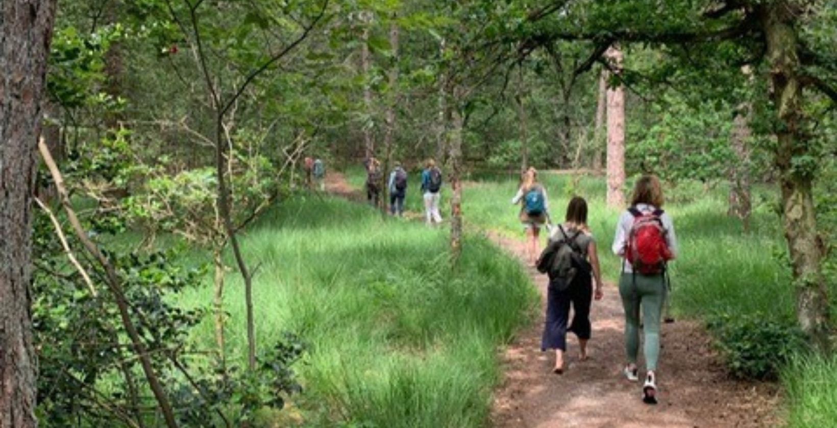 Mensen boksen tijdens een training met de tekst: Boksen. Ontdek spelenderwijs je innerlijke kracht, leer over jezelf en de verborgen contracten die je sluit met jezelf en anderen