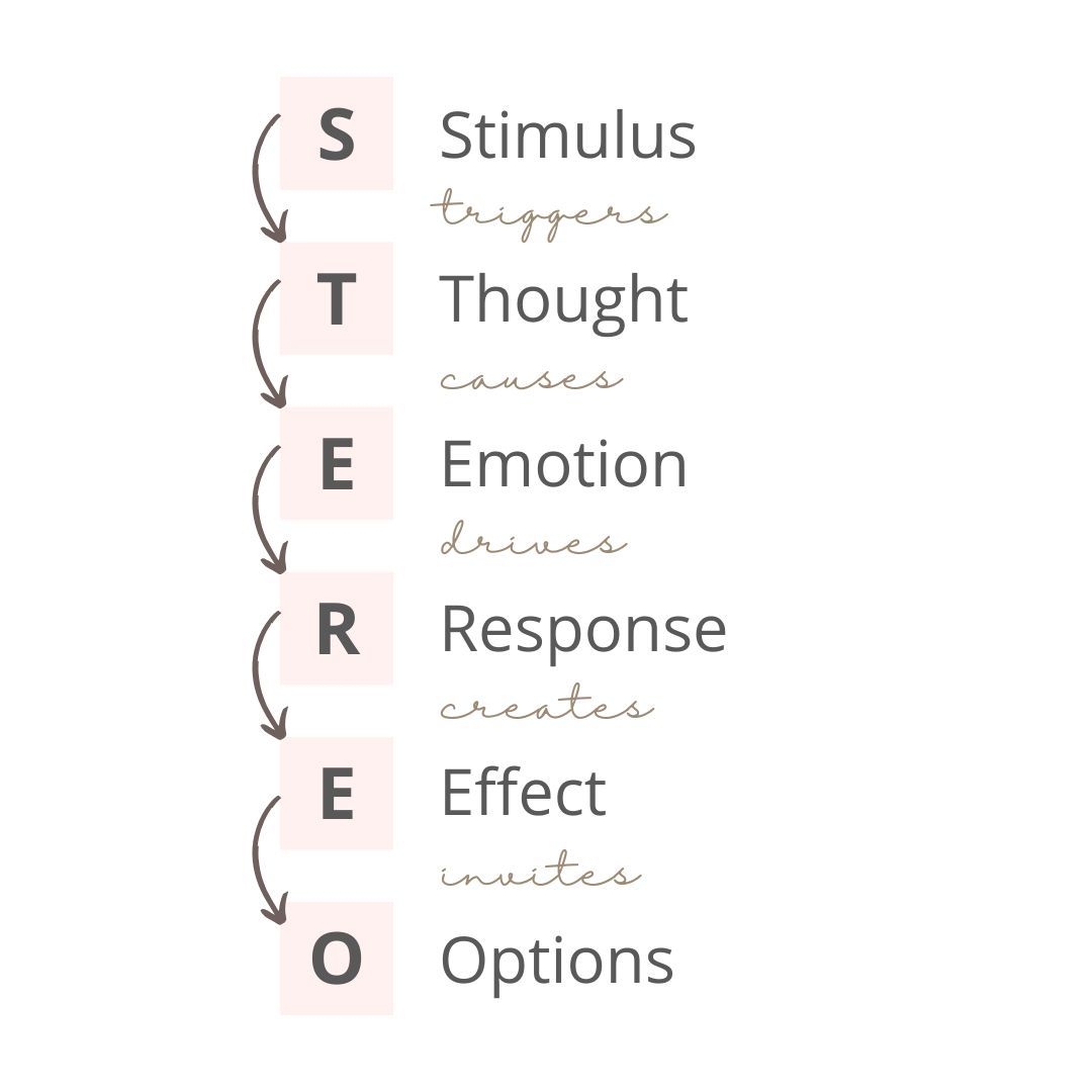 TEREO Map diagram showing the process from stimulus to thought, emotion, response, effect, and options